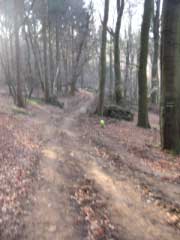 Vor der Teufelsbruecke