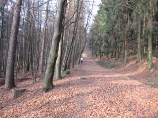 Nienstedter Pass
