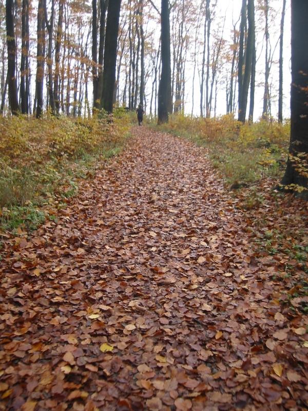 Steigung zum Bielstein