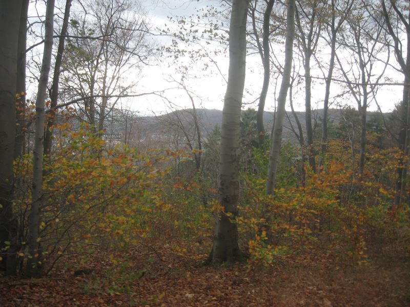 Bielstein