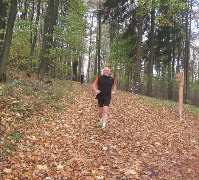 Taternpfahl(1)